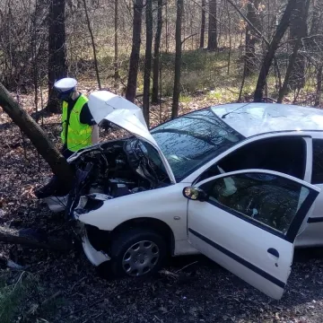 Wpadł do rowu i uderzył w drzewo