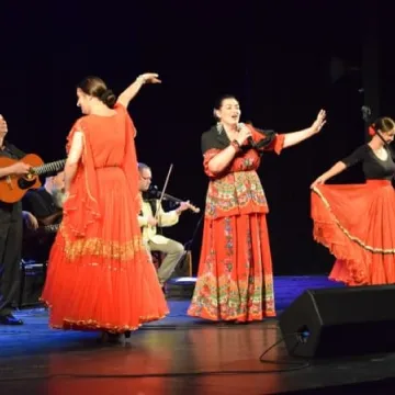 Kultura romska w MDK