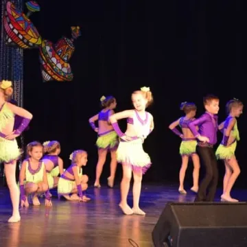 WOŚP 2019: Wielki finał Orkiestry w MDK