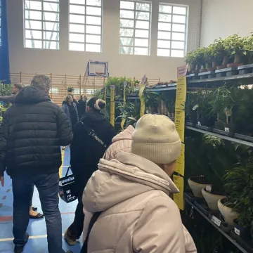 Rośliny opanowały Radomsko. Festiwal Roślin odbył się po raz pierwszy