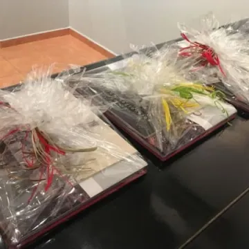 Wernisaż wystawy malarstwa „Akwarela Water Colour” w Muzeum