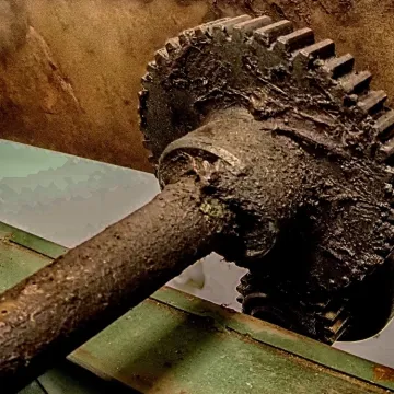 Foto Art na warsztatach w Muzeum Drukarstwa Rodziny Kamińskich