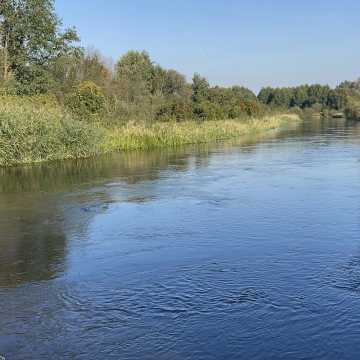 [WIDEO] Sprzątanie Pilicy w ramach akcji „Misja Czysta Rzeka” – mieszkańcy ruszyli do działania