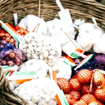 Przedstawiciele Radomska uczestniczyli w Festiwalu Cebuli w Makó