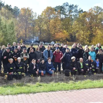 Wspólnie sadzili las