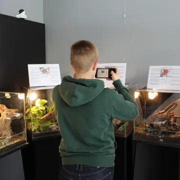 Pająki i skorpiony w MDK w Radomsku