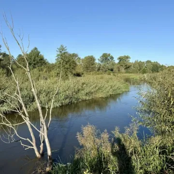Wielkie sprzątanie w Przedborzu. Pilica odzyskała blask