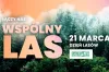 RAS zaprasza do lasu na wspólny spacer