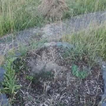 Bałagan na ścieżce do pomnika na Kopcu