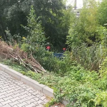 Wjechał do Radomki. Kierowca zasłabł za kierownicą