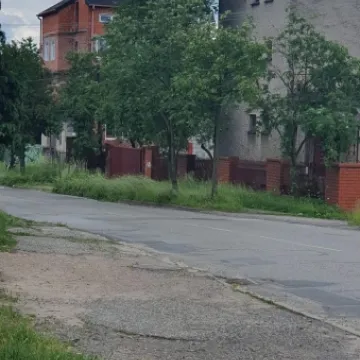 Mieszkańcy ul. Różanej skarżą się na niewykoszoną trawę