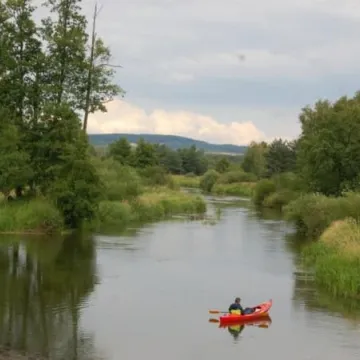 Jaką kondycję mają samorządy?