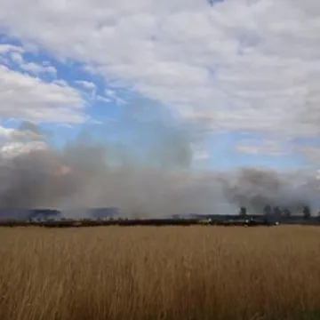 Pożar zboża między Przerębem a Bartodziejami