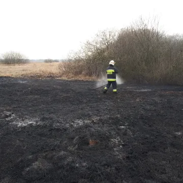 Spłonęły łąki i nieużytki rolne