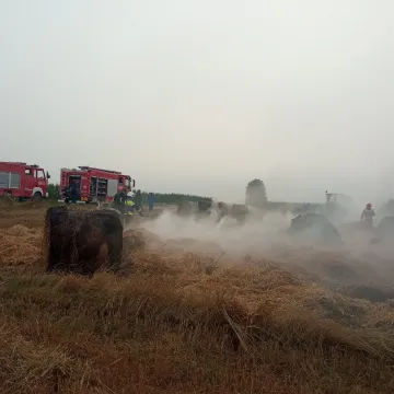 W Niwie Goszczowskiej płonęły baloty słomy