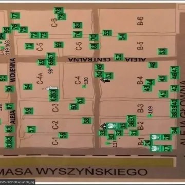 Drzewa na Cmentarzu Starym w ewidencji i ponumerowane, a QR kod opowie historię