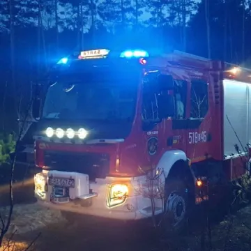 Pożar lasu w Małej Wsi w gm. Żytno