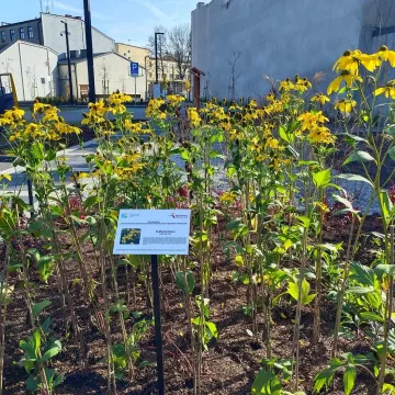 Trwał odbiór techniczny parkingu przy ul. Reymonta w Radomsku