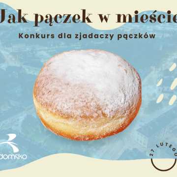 Pączek w obiektywie Radomska