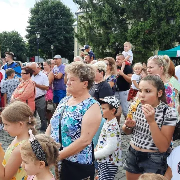 Wielkie Łowy Króla Kazimierza w Przedborzu