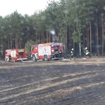 Pożar zboża między Przerębem a Bartodziejami