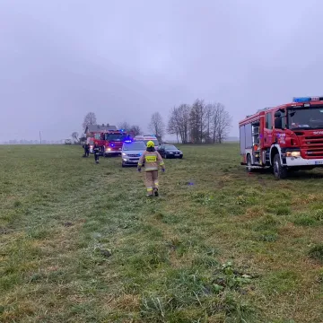 Wiewiórów: w stawie znaleziono zwłoki kobiety