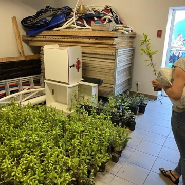 Oddali puszki, otrzymali sadzonki i zioła