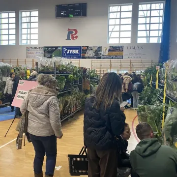 Rośliny opanowały Radomsko. Festiwal Roślin odbył się po raz pierwszy