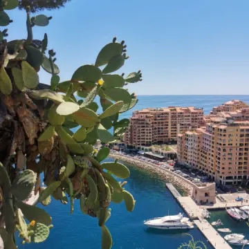 Staż na Lazurowym Wybrzeżu uczniów Ekonomika dobiega końca