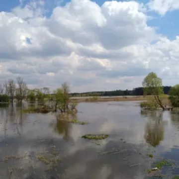 Podtopienia na Topiszu, Bobrach i Szczepocicach 