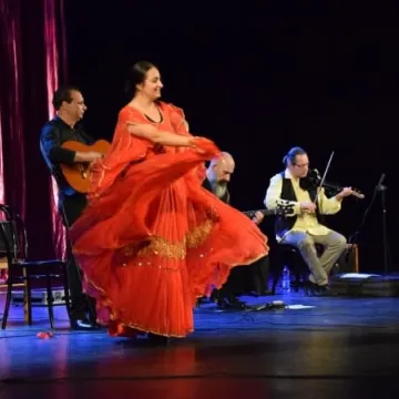 Kultura romska w MDK