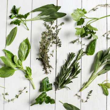 Zdrowie z natury. Jakie rośliny mogą poprawić Twoje samopoczucie?