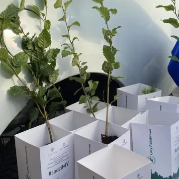 Poseł Anna Milczanowska rozdawała sadzonki z autografem pary prezydenckiej