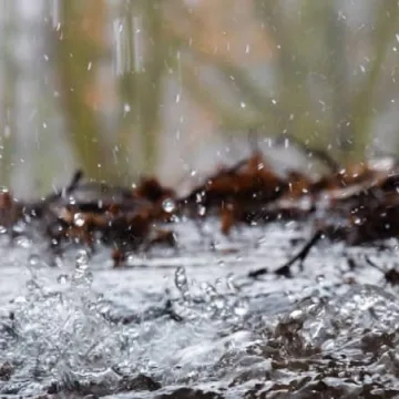 Plener fundacji FotoPozytyw