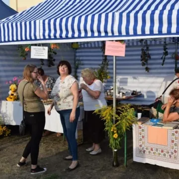 Miód w roli głównej w Gomunicach 