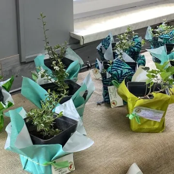 [WIDEO] Dni Otwarte w ZSCKR w Dobryszycach