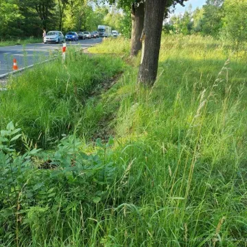 Dachowanie fiata na DK91 w miejscowości Ochocice. Kierowca miał prawie dwa promile