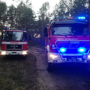 Pożar lasu w Małej Wsi