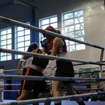 Boks królował w Radomsku