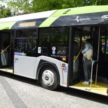  Nowe Solarisy już wożą radomszczan