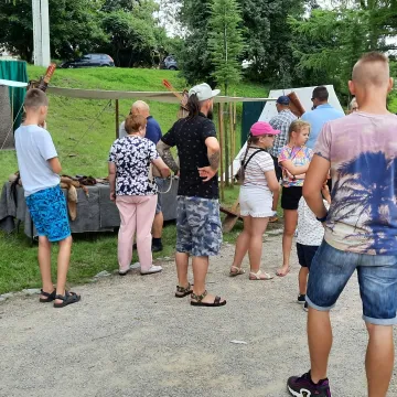 Wielkie Łowy Króla Kazimierza w Przedborzu