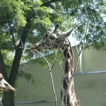 Muzeum Regionalne na wyciecze w Łodzi