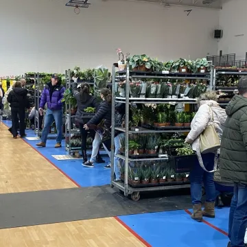 Rośliny opanowały Radomsko. Festiwal Roślin odbył się po raz pierwszy