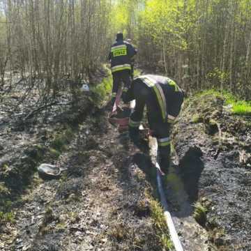W Myśliwczowie palił się hektar poszycia leśnego