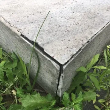 Zapomniane miejsce pamięci