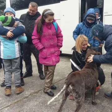 Terapia w lesie daje świetne efekty