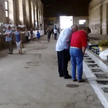 365 x 100 WOLNOŚĆ wystawa fotografii w Radomsku