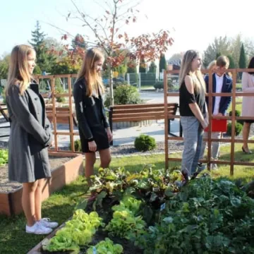 Ekopracownia pod chmurką w PSP nr 9 w Radomsku już działa