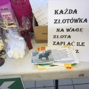 Finał akcji „Podaruj seniorowi domek”