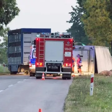 Śmiertelny wypadek na drodze za Przedborzem